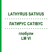 ЛАТИРУС САТИВУС (LATHYRUS SATIVUS) LM VI глобули 5 г - Гомеопатия DHU