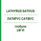ЛАТИРУС САТИВУС (LATHYRUS SATIVUS) LM VI глобули 5 г - Гомеопатия DHU