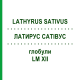 ЛАТИРУС САТИВУС (LATHYRUS SATIVUS) LM XII глобули 5 г - Гомеопатия DHU