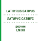 ЛАТИРУС САТИВУС (LATHYRUS SATIVUS) LM XII раствор 10 мл - Гомеопатия DHU