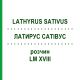 ЛАТИРУС САТИВУС (LATHYRUS SATIVUS) LM XVIII раствор 10 мл - Гомеопатия DHU