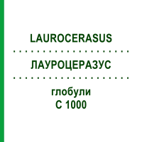 ЛАУРОЦЕРАЗУС (LAUROCERASUS) C 1000 глобули 0,5 г - Гомеопатия GUDJONS