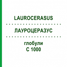 ЛАУРОЦЕРАЗУС (LAUROCERASUS) C 1000 глобули 0,5 г - Гомеопатія GUDJONS