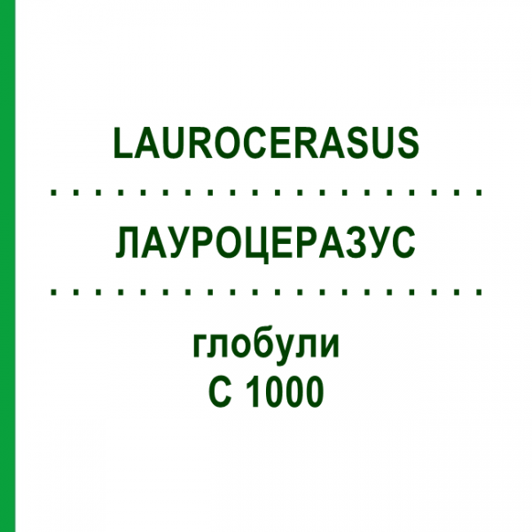 ЛАУРОЦЕРАЗУС (LAUROCERASUS) C 1000 глобули 0,5 г - Гомеопатія GUDJONS