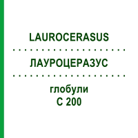 ЛАУРОЦЕРАЗУС (LAUROCERASUS) C 200 глобули 0,5 г - Гомеопатия GUDJONS