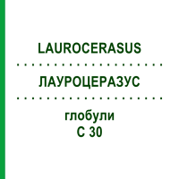 ЛАУРОЦЕРАЗУС (LAUROCERASUS) C 30 глобули 0,5 г - Гомеопатия GUDJONS
