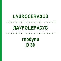 ЛАУРОЦЕРАЗУС (LAUROCERASUS) D 30 глобули 10 г - Гомеопатия DHU