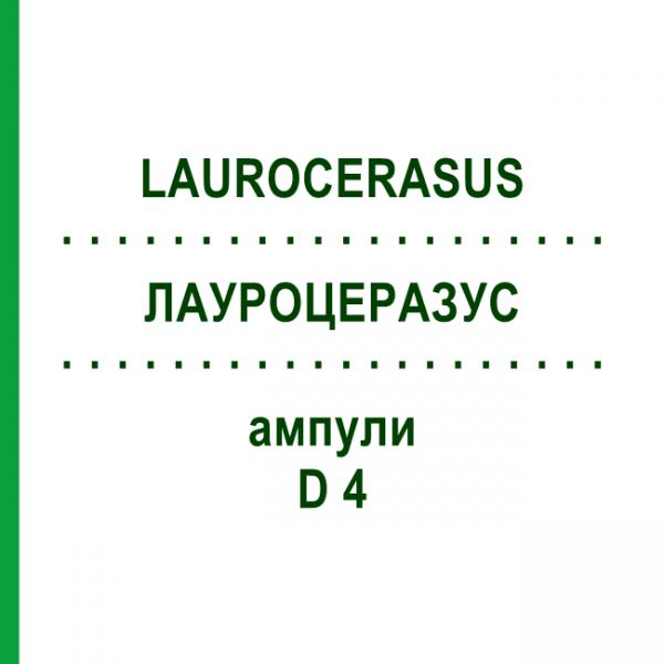 ЛАУРОЦЕРАЗУС (LAUROCERASUS) D 4 ампулы 8x1 мл - Гомеопатия DHU