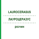 ЛАУРОЦЕРАЗУС (LAUROCERASUS) раствор 20 мл - Гомеопатия DHU