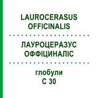ЛАУРОЦЕРАЗУС ОФФІЦИНАЛІС (LAUROCERASUS OFFICINALIS) C 30 глобули 1,5 г - Гомеопатія GUDJONS