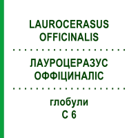 ЛАУРОЦЕРАЗУС ОФФИЦИНАЛИС (LAUROCERASUS OFFICINALIS) C 6 глобули 1,5 г - Гомеопатия GUDJONS