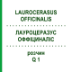 ЛАУРОЦЕРАЗУС ОФФІЦИНАЛІС (LAUROCERASUS OFFICINALIS) Q 1 розчин 15 мл - Гомеопатія GUDJONS