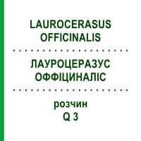 ЛАУРОЦЕРАЗУС ОФФИЦИНАЛИС (LAUROCERASUS OFFICINALIS) Q 3 раствор 15 мл - Гомеопатия GUDJONS
