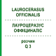 ЛАУРОЦЕРАЗУС ОФФІЦИНАЛІС (LAUROCERASUS OFFICINALIS) Q 3 розчин 15 мл - Гомеопатія GUDJONS
