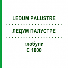 ЛЕДУМ ПАЛУСТРЕ (LEDUM PALUSTRE) C 1000 глобули 0,5 г - Гомеопатія GUDJONS