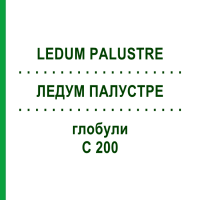 ЛЕДУМ ПАЛУСТРЕ (LEDUM PALUSTRE) C 200 глобули 10 г - Гомеопатія SPAGYRA