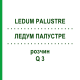 ЛЕДУМ ПАЛУСТРЕ (LEDUM PALUSTRE) Q 3 раствор 15 мл - Гомеопатия GUDJONS