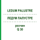 ЛЕДУМ ПАЛУСТРЕ (LEDUM PALUSTRE) Q 30 раствор 15 мл - Гомеопатия GUDJONS