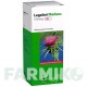 ЛЕГАЛОН (LEGALON) 156 мг капсулы 120 шт - Плоды расторопши пятнистой MEDA PHARMA