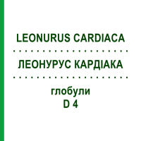 ЛЕОНУРУС КАРДІАКА (LEONURUS CARDIACA) D 4 глобули 10 г - Гомеопатія DHU
