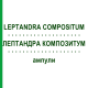 ЛЕПТАНДРА КОМПОЗИТУМ (LEPTANDRA COMPOSITUM) ампулы 100 шт - Гомеопатия BIOLOGISCHE HEILMITTEL HEEL