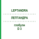 ЛЕПТАНДРА (LEPTANDRA) D 3 глобули 10 г - Гомеопатия DHU
