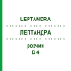 ЛЕПТАНДРА (LEPTANDRA) D 4 раствор 20 мл - Гомеопатия DHU