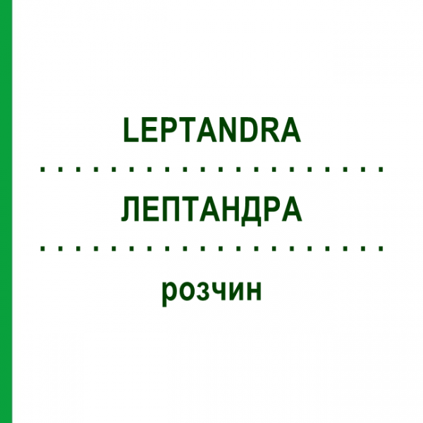 ЛЕПТАНДРА (LEPTANDRA) раствор 50 мл - Гомеопатия NESTMANN PHARMA