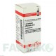 ЛЕВИСТИКУМ ОФФИЦИНАЛИС (LEVISTICUM OFFICINALIS) D 3 глобули 10 г - Гомеопатия DHU