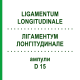 ЛІГАМЕНТУМ ЛОНГІТУДИНАЛЕ (LIGAMENTUM LONGITUDINALE) D 15 ампули 10x1 мл - Гомеопатія WALA HEILMITTEL
