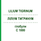 ЛИЛИУМ ТИГРИНУМ (LILIUM TIGRINUM) C 1000 глобули 1,5 г - Гомеопатия GUDJONS
