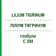 ЛИЛИУМ ТИГРИНУМ (LILIUM TIGRINUM) C 200 глобули 0,5 г - Гомеопатия GUDJONS