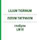 ЛИЛИУМ ТИГРИНУМ (LILIUM TIGRINUM) LM III глобули 5 г - Гомеопатия DHU