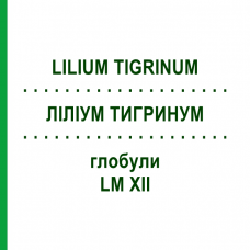 ЛИЛИУМ ТИГРИНУМ (LILIUM TIGRINUM) LM XII глобули 5 г - Гомеопатия DHU
