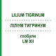 ЛИЛИУМ ТИГРИНУМ (LILIUM TIGRINUM) LM XII глобули 5 г - Гомеопатия DHU