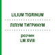 ЛИЛИУМ ТИГРИНУМ (LILIUM TIGRINUM) LM XVIII раствор 10 мл - Гомеопатия DHU