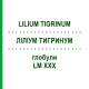 ЛИЛИУМ ТИГРИНУМ (LILIUM TIGRINUM) LM XXX глобули 5 г - Гомеопатия DHU