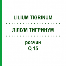 ЛИЛИУМ ТИГРИНУМ (LILIUM TIGRINUM) Q 15 раствор 15 мл - Гомеопатия GUDJONS
