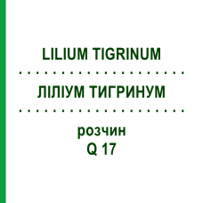 ЛИЛИУМ ТИГРИНУМ (LILIUM TIGRINUM) Q 17 раствор 15 мл - Гомеопатия GUDJONS