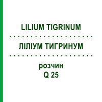 ЛИЛИУМ ТИГРИНУМ (LILIUM TIGRINUM) Q 25 раствор 15 мл - Гомеопатия GUDJONS