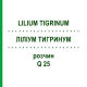 ЛИЛИУМ ТИГРИНУМ (LILIUM TIGRINUM) Q 25 раствор 15 мл - Гомеопатия GUDJONS