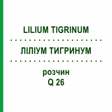 ЛИЛИУМ ТИГРИНУМ (LILIUM TIGRINUM) Q 26 раствор 15 мл - Гомеопатия GUDJONS
