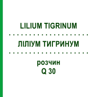 ЛИЛИУМ ТИГРИНУМ (LILIUM TIGRINUM) Q 30 раствор 15 мл - Гомеопатия GUDJONS
