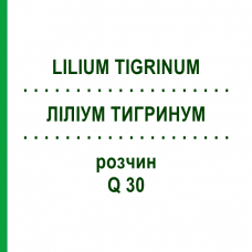 ЛИЛИУМ ТИГРИНУМ (LILIUM TIGRINUM) Q 30 раствор 15 мл - Гомеопатия GUDJONS