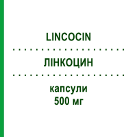 ЛИНКОЦИН (LINCOCIN) 500 мг капсулы 12 шт - Линкомицин PFIZER