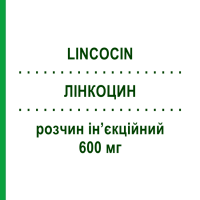 ЛИНКОЦИН (LINCOCIN) 600 мг раствор инъекционный 2 мл - Линкомицин PFIZER