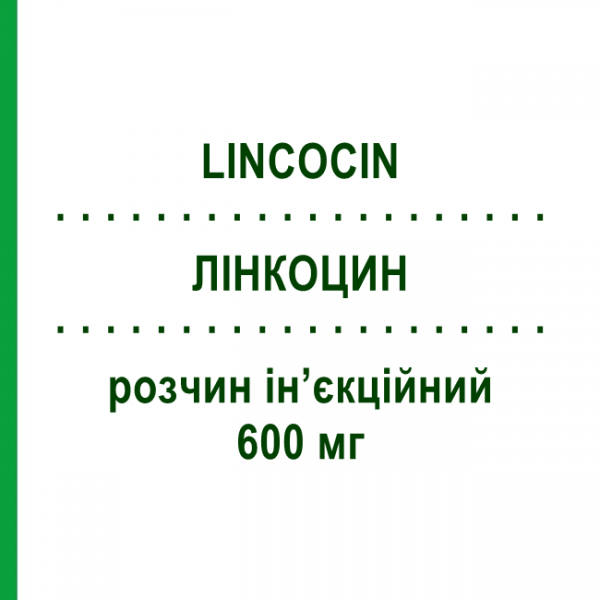ЛИНКОЦИН (LINCOCIN) 600 мг раствор инъекционный 2 мл - Линкомицин PFIZER