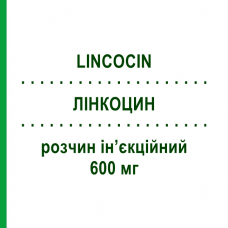 ЛИНКОЦИН (LINCOCIN) 600 мг раствор инъекционный 2 мл - Линкомицин PFIZER