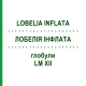 ЛОБЕЛІЯ ІНФЛАТА (LOBELIA INFLATA) LM XII глобули 5 г - Гомеопатія DHU