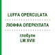 ЛЮФФА ОПЕРКУЛАТА (LUFFA OPERCULATA) LM XVIII глобули 5 г - Гомеопатия DHU